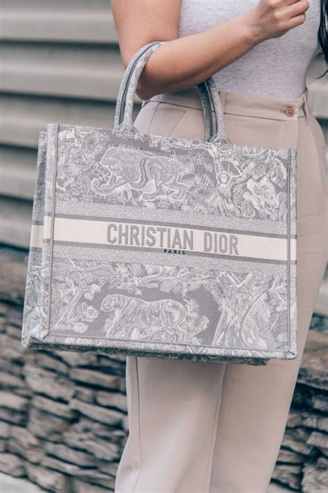 dior canvas bag dupe